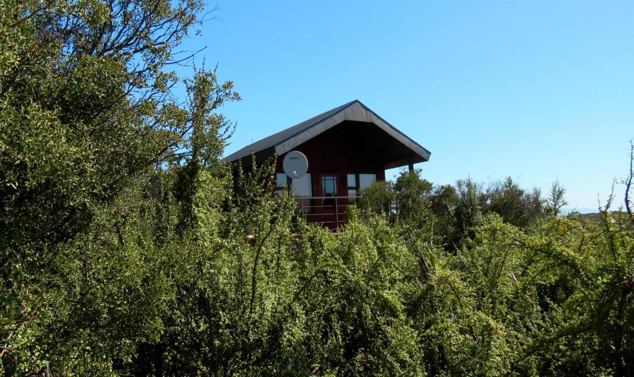 Klein Karoo Game Lodge Oudtshoorn Exterior photo